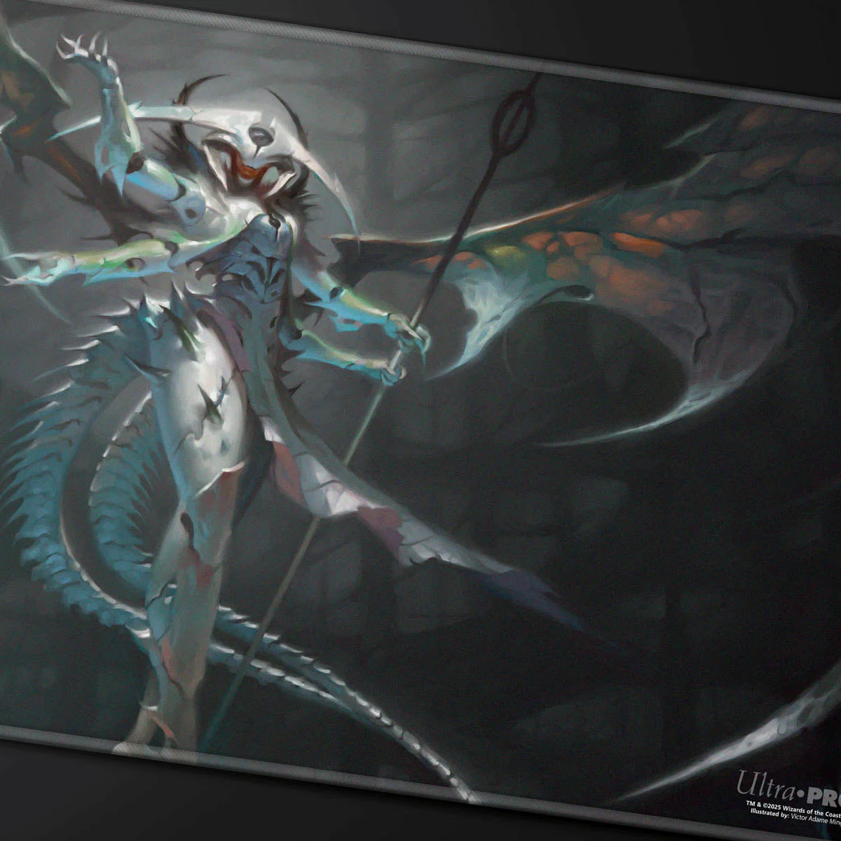 Thumbnail 11