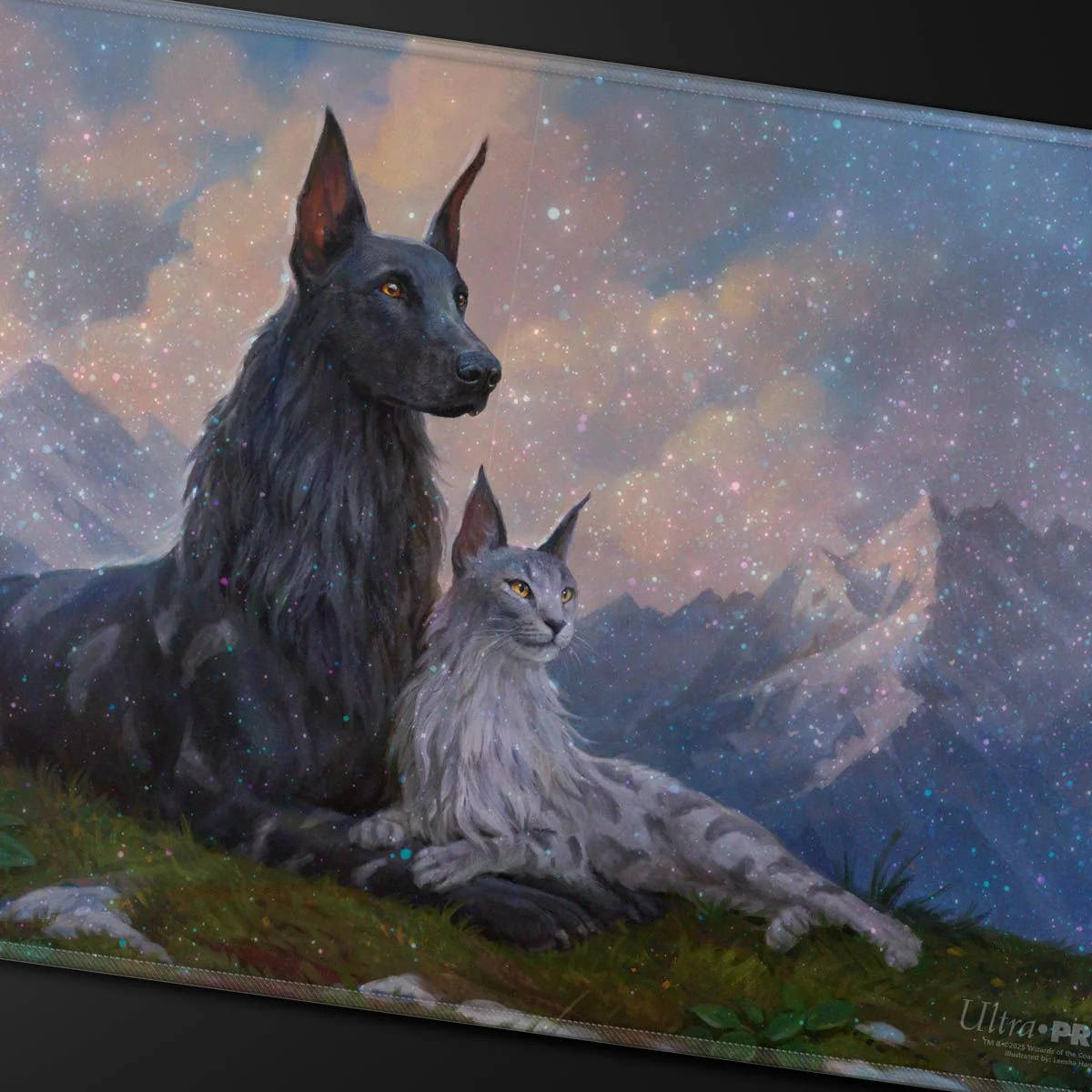 Thumbnail 26